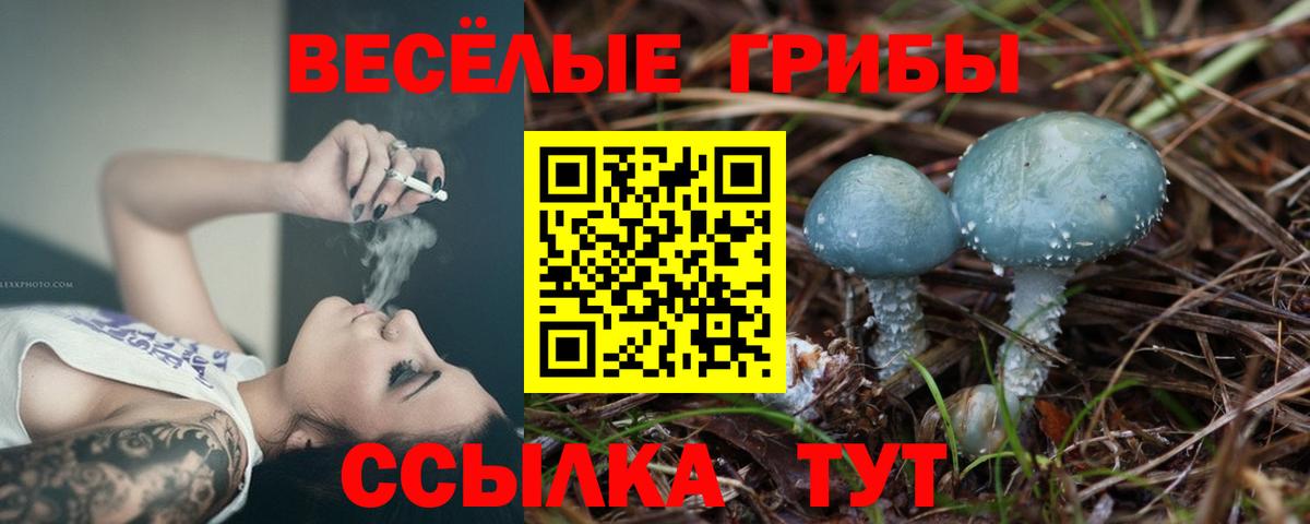 Галлюциногенные грибы Cubensis Светлоград